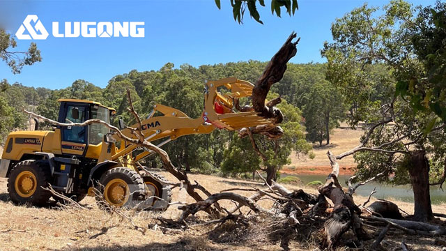 wheel loader wood fork